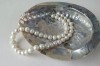Masyvių baltų perlų vėrinys